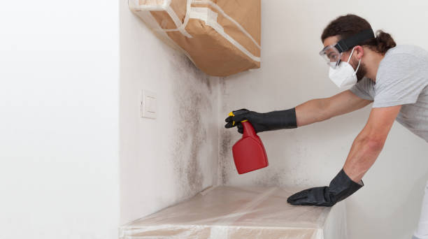 Professional Crawl Space Mold Remediation technician working in La Grange, NC