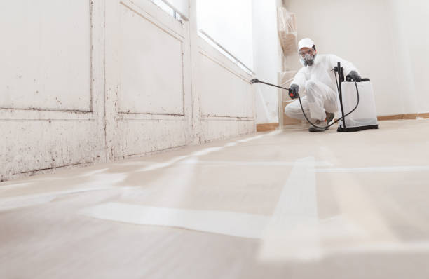 24/7 Emergency Crawl Space Mold Remediation experts in La Grange, NC